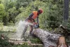 Husqvarna 550 XP G Mark II 15" benzinmotoros láncfűrész