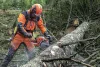 Husqvarna 550 XP G Mark II 15" benzinmotoros láncfűrész
