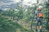 Husqvarna 535i XP 14" akkumulátoros láncfűrész "akkumulátor nélkül"