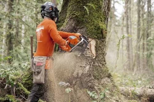 Husqvarna 592XPG 24" benzinmotoros láncfűrész