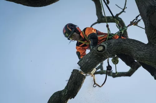 Husqvarna T540iXP 14" egykezes akkumulátoros láncfűrész "akkumulátor nélkül"