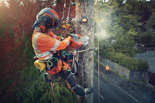 Husqvarna T540iXP 14" egykezes akkumulátoros láncfűrész "akkumulátor nélkül"