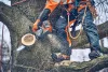 Husqvarna T542i XP 14" akkumulátoros láncfűrész "akkumulátor nélkül"