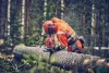 Husqvarna 560 XP Mark II  15" benzinmotoros láncfűrész
