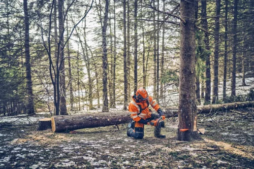 Husqvarna 562 XP Mark II  18" benzinmotoros láncfűrész