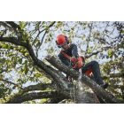 Husqvarna T535iXP 12" egykezes akkumulátoros láncfűrész "akkumulátor nélkül"