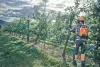 Husqvarna 535i XP 14" akkumulátoros láncfűrész "akkumulátor nélkül"