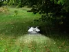 Husqvarna Automower® 430V NERA robotfűnyíró
