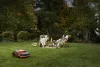 Segway Navimow H215e vezeték nélküli robotfűnyíró