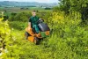 AS 800 FreeRider